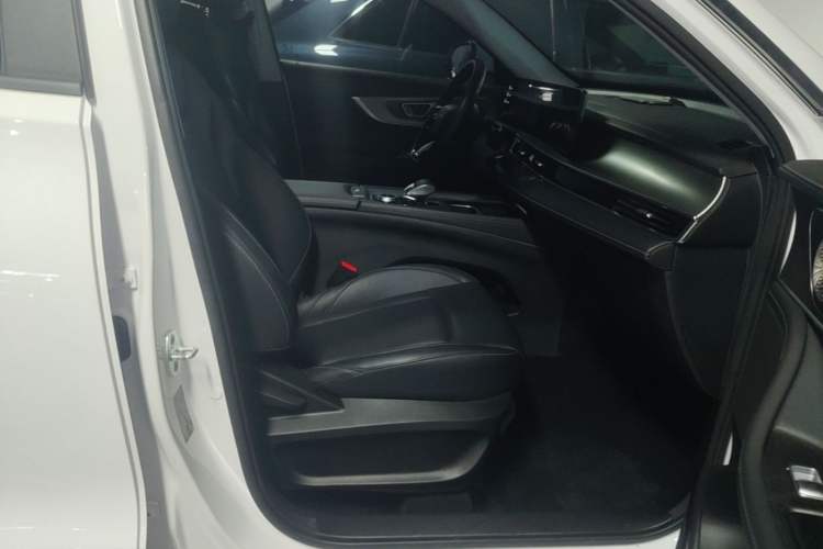 Used Chery Tiggo 8 PRO 2024 Champion Edition 290T Two-Wheel Drive Shining Version 5 Seats Right Front Seat