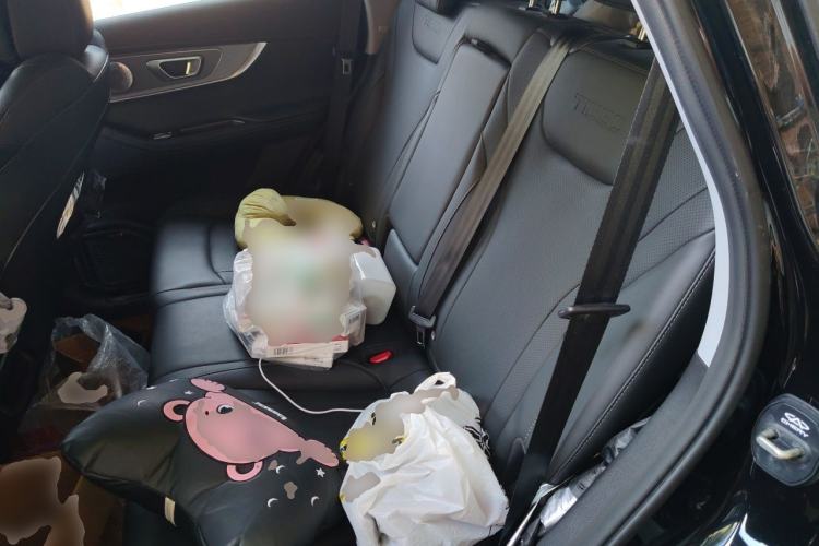 Used Chery Tiggo 8 PRO 2025 290T Two-Wheel-Drive Luxury Edition Left Rear Seat