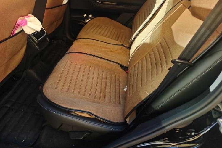 Used Chery Tiggo 8 PRO 2025 290T Two-Wheel-Drive Luxury Edition Left Rear Seat