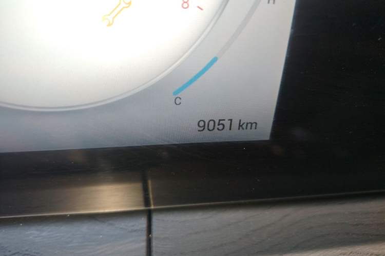 Used Chery Tiggo 8 PRO 2025 290T Two-Wheel-Drive Luxury Edition Odometer Close Up
