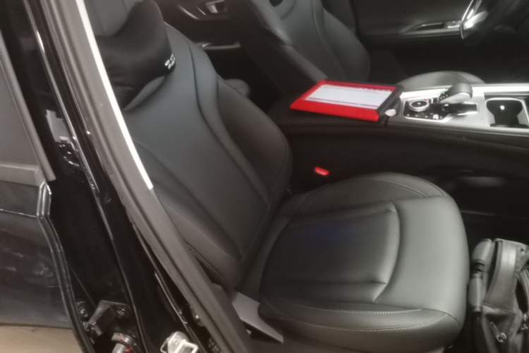 Used Chery Tiggo 8 PRO 2025 290T Two-Wheel-Drive Luxury Edition Right Front Seat