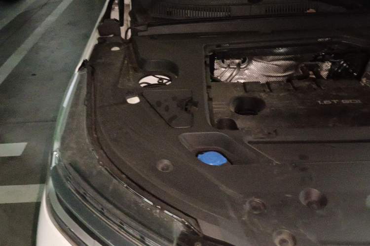 Used Chery Tiggo 8 PRO 2025 290T Two-Wheel-Drive Luxury Edition Engine Bay Right