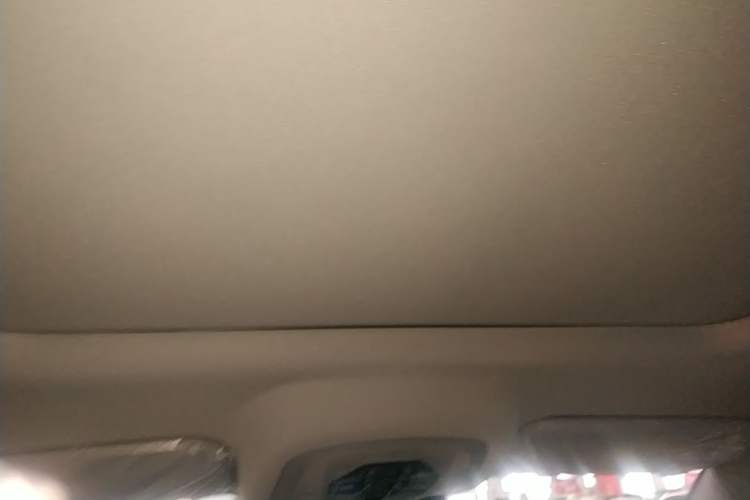 Used Chery Tiggo 8 PRO 2025 290T Two-Wheel-Drive Luxury Edition Headliner