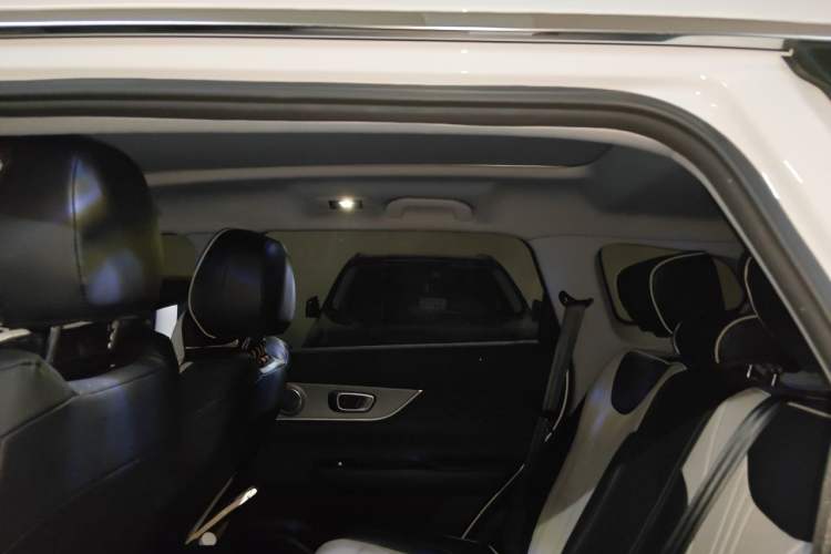 Used Chery Tiggo 8 PRO 2025 290T Two-Wheel-Drive Luxury Edition Headliner
