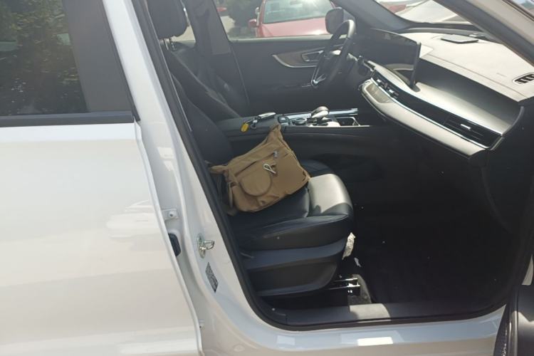 Used Chery Tiggo 8 PRO 2025 290T Two-Wheel-Drive Luxury Edition Right Front Seat