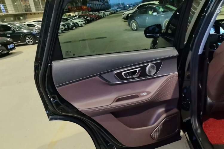 Used Chery Tiggo 8 PRO New Energy 2023 Champion Edition 1.5T 100km King's Version Left Rear Door Interior