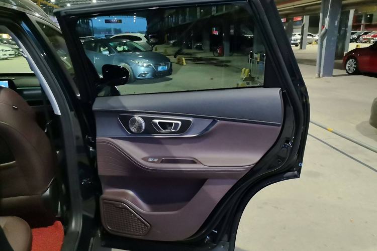 Used Chery Tiggo 8 PRO New Energy 2023 Champion Edition 1.5T 100km King's Version Right Rear Door Interior