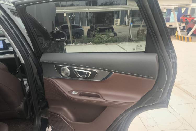 Used Chery Tiggo 8 PRO New Energy 2023 Champion Edition 1.5T 100km King's Version Right Rear Door Interior