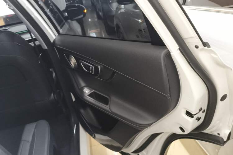 Used Chery Tiggo 8 PRO New Energy 2023 Champion Edition 1.5T 100km Glory Version Right Rear Door Interior