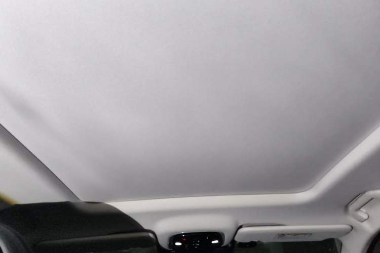 Used Chery Tiggo 9 2023 2.0T Dual-Clutch Two-Wheel Drive Luxury Edition 7 Seats Headliner