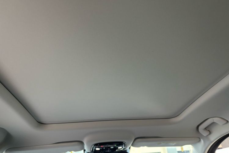 Used Chery Tiggo 9 2023 2.0T Dual-Clutch Two-Wheel Drive Prestige Version 7 Seats Headliner