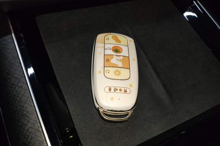 Used Chery Tiggo 9 2023 2.0T Dual-Clutch Two-Wheel Drive Leading Edition 5 Seats Interior 1