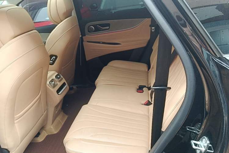 Used Chery Tiggo 9 2023 2.0T Dual-Clutch Two-Wheel Drive Luxury Edition 5 Seats Left Rear Seat