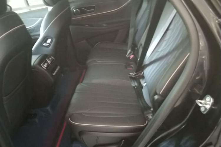 Used Chery Tiggo 9 2023 2.0T Dual-Clutch Two-Wheel Drive Luxury Edition 5 Seats Left Rear Seat