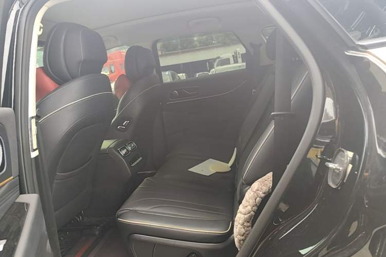 Used Chery Tiggo 9 2023 2.0T Dual-Clutch Two-Wheel Drive Luxury Edition 7 Seats Left Rear Seat