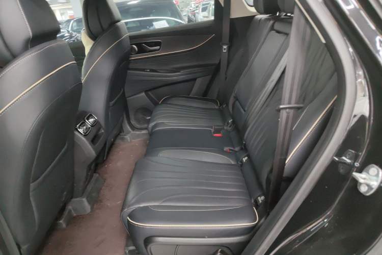 Used Chery Tiggo 9 2023 2.0T Dual-Clutch Two-Wheel Drive Leading Edition 5 Seats Left Rear Seat