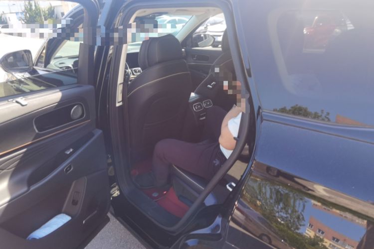 Used Chery Tiggo 9 2023 2.0T Dual-Clutch Two-Wheel Drive Prestige Version 5 Seats Left Rear Seat