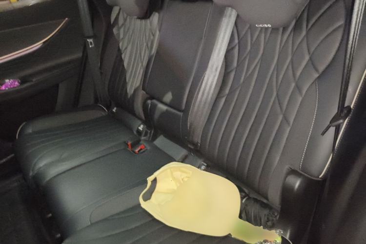 Used Chery Tiggo 9 2023 2.0T Dual-Clutch Two-Wheel Drive Luxury Edition 5 Seats Left Rear Seat