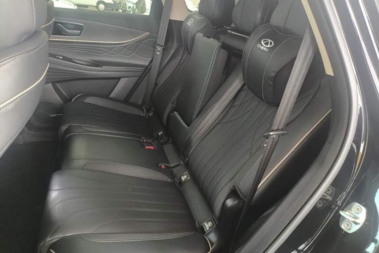 Used Chery Tiggo 9 2023 2.0T Automatic Two-Wheel Drive Prestige Edition 5 Seats Left Rear Seat
