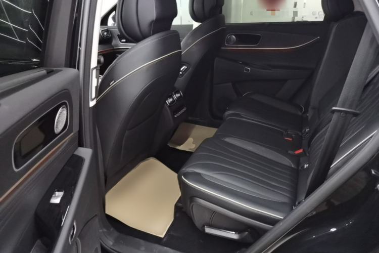 Used Chery Tiggo 9 2023 2.0T Dual-Clutch Two-Wheel Drive Prestige Version 5 Seats Left Rear Seat