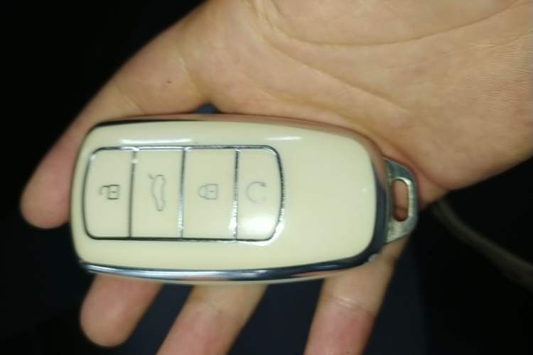 Used Chery Tiggo 9 2023 2.0T Dual-Clutch Two-Wheel Drive Leading Edition 5 Seats Vehicle Key