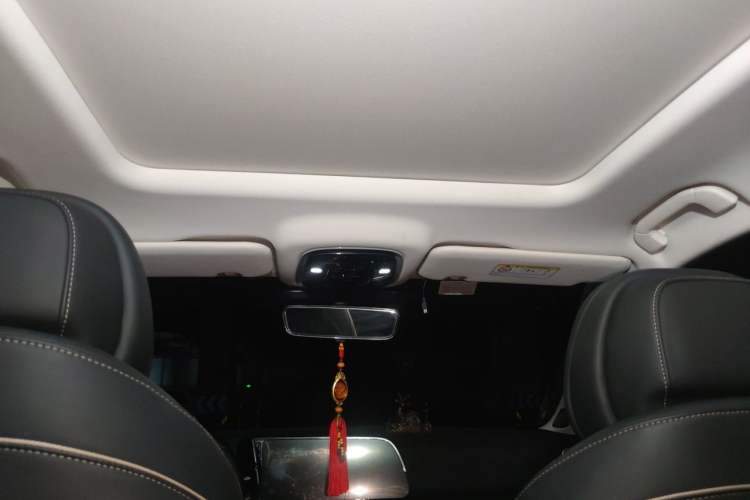 Used Chery Tiggo 9 2023 2.0T Dual-Clutch Two-Wheel Drive Leading Edition 5 Seats Headliner