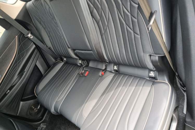 Used Chery Tiggo 9 2023 2.0T Dual-Clutch Two-Wheel Drive Leading Edition 5 Seats Left Rear Seat
