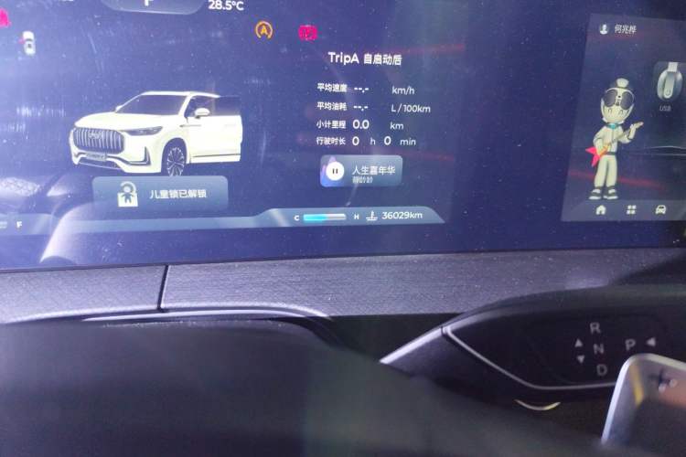 Used Chery Tiggo 9 2023 2.0T Automatic All-Wheel Drive Ultimate Edition 5 Seats Odometer Close Up