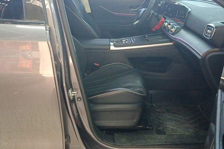 Used Chery Tiggo 9 2023 2.0T Dual-Clutch Two-Wheel Drive Luxury Edition 5 Seats Right Front Seat