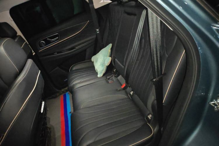 Used Chery Tiggo 9 2023 2.0T Dual-Clutch Two-Wheel Drive Luxury Edition 5 Seats Left Rear Seat