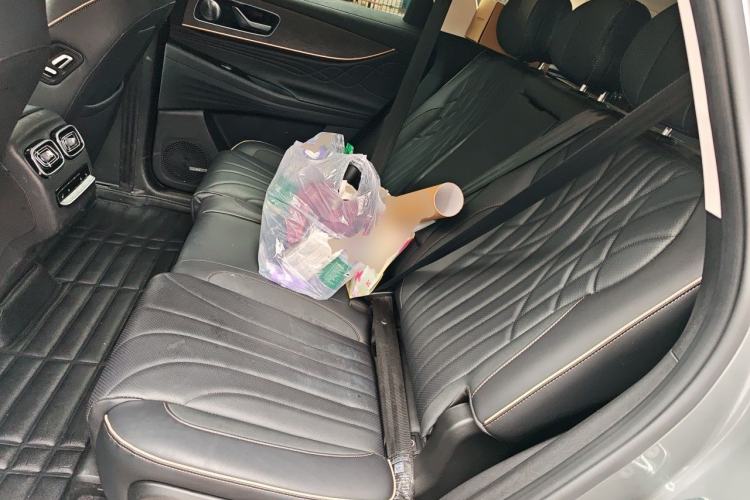 Used Chery Tiggo 9 2023 2.0T Dual-Clutch Two-Wheel Drive Luxury Edition 5 Seats Left Rear Seat