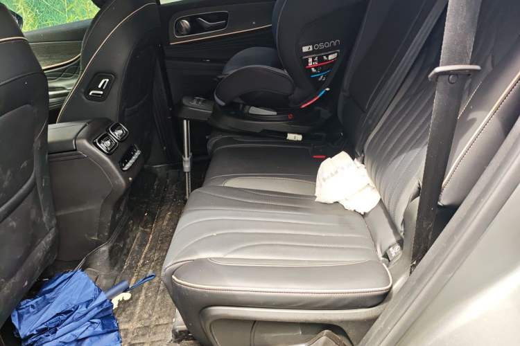 Used Chery Tiggo 9 2023 2.0T Dual-Clutch Two-Wheel Drive Luxury Edition 5 Seats Left Rear Seat