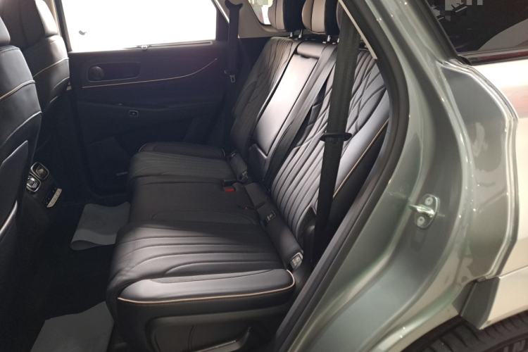 Used Chery Tiggo 9 2023 2.0T Dual-Clutch Two-Wheel Drive Prestige Version 5 Seats Left Rear Seat