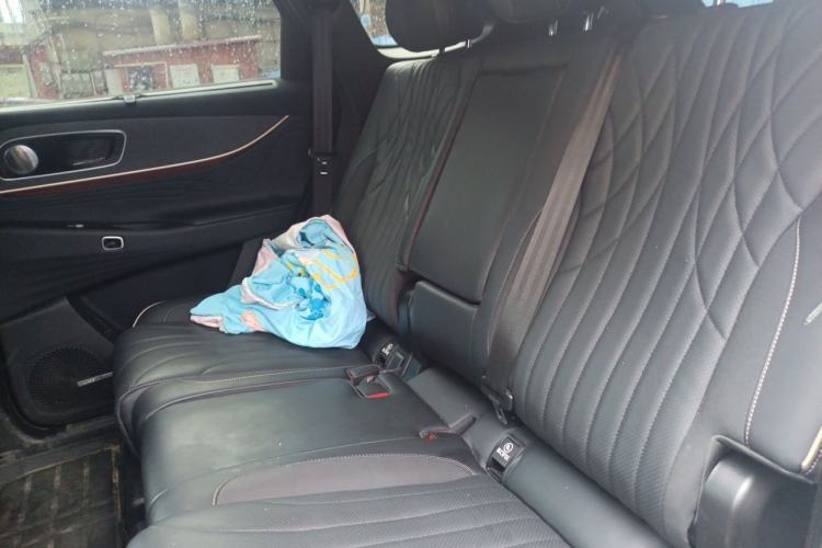 Used Chery Tiggo 9 2023 2.0T Automatic All-Wheel Drive Flagship Version 5 Seats Left Rear Seat