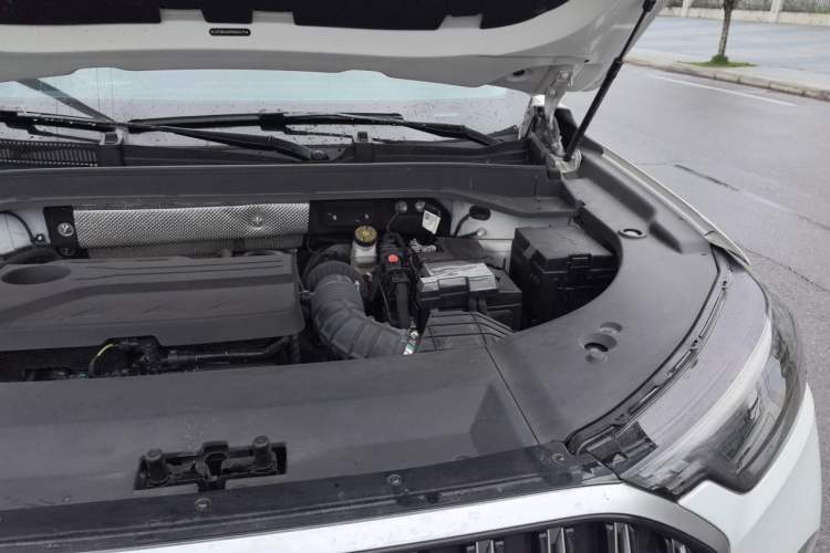 Used Chery Tiggo 9 2023 2.0T Dual-Clutch Two-Wheel Drive Prestige Version 7 Seats Engine Bay Left