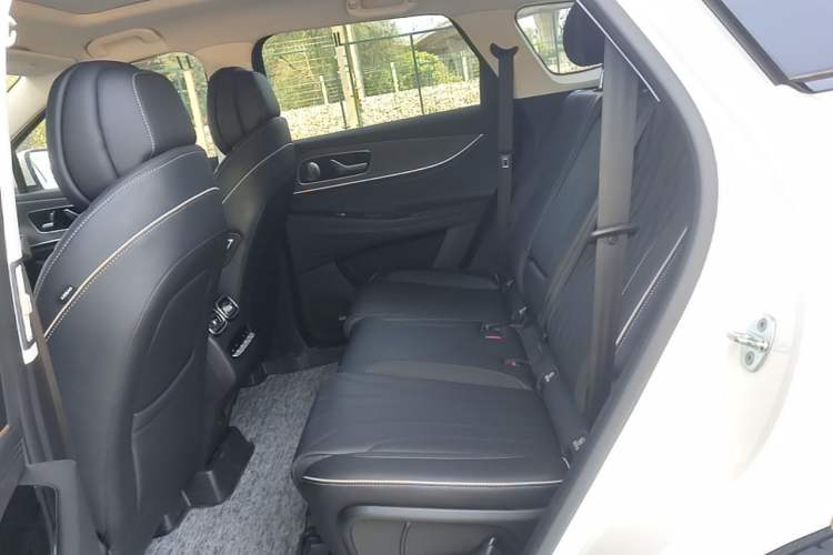 Used Chery Tiggo 9 2023 2.0T Dual-Clutch Two-Wheel Drive Luxury Edition 7 Seats Left Rear Seat