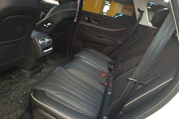 Used Chery Tiggo 9 2023 2.0T Dual-Clutch Two-Wheel Drive Luxury Edition 7 Seats Left Rear Seat