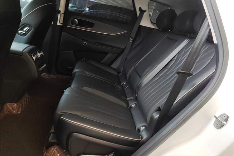 Used Chery Tiggo 9 2023 2.0T Dual-Clutch Two-Wheel Drive Prestige Version 5 Seats Left Rear Seat