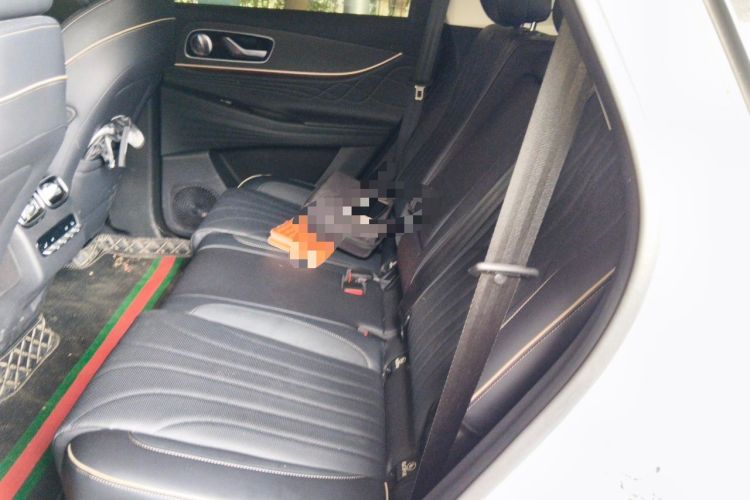 Used Chery Tiggo 9 2023 2.0T Dual-Clutch Two-Wheel Drive Luxury Edition 5 Seats Left Rear Seat