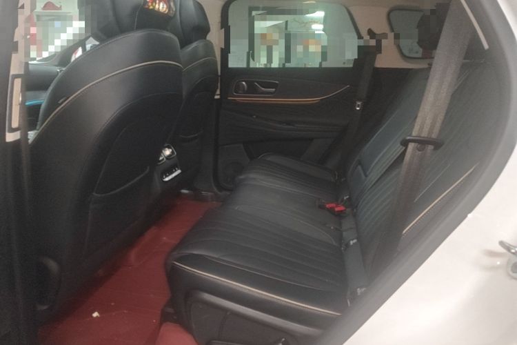 Used Chery Tiggo 9 2023 2.0T Dual-Clutch Two-Wheel Drive Luxury Edition 5 Seats Left Rear Seat