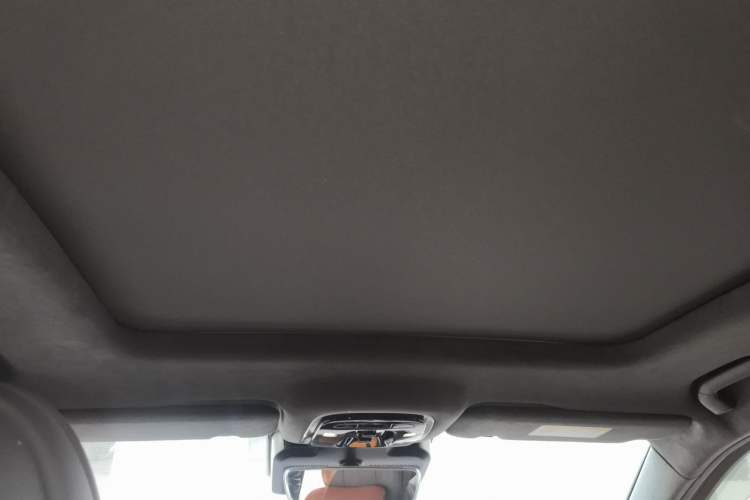 Used Chery Tiggo 9 2024 2.0T Automatic Two-Wheel Drive Ultra-Comfortable Deluxe Edition Headliner