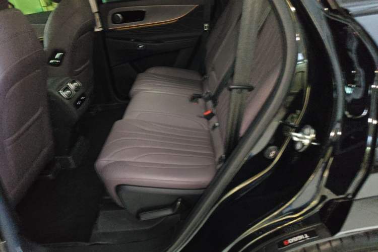 Used Chery Tiggo 9 2024 2.0T Dual-Clutch Two-Wheel Drive Ultra-Comfortable Prestige Edition Left Rear Seat