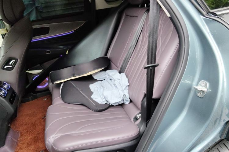 Used Chery Tiggo 9 2024 2.0T Dual-Clutch Two-Wheel Drive Ultra-Comfortable Prestige Edition Left Rear Seat