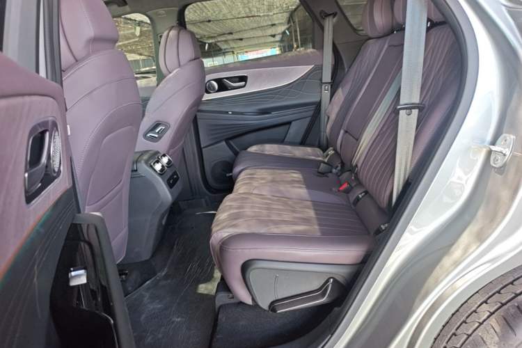 Used Chery Tiggo 9 2024 2.0T Automatic Two-Wheel Drive Ultra-Comfortable Deluxe Edition Left Rear Seat