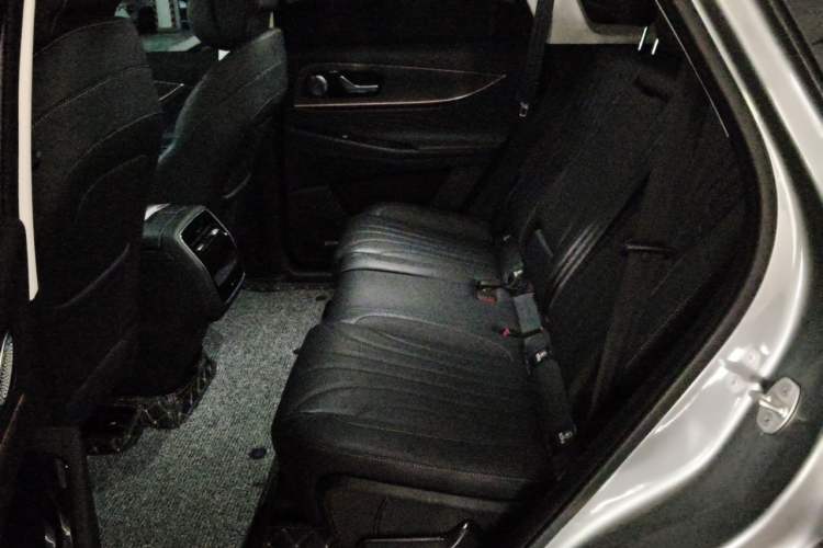 Used Chery Tiggo 9 2024 2.0T Dual-Clutch Two-Wheel Drive Ultra-Comfortable Prestige Edition Left Rear Seat