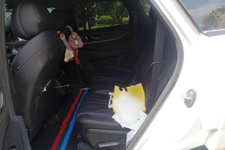 Used Chery Tiggo 9 2025 2.0T Dual-Clutch Two-Wheel Drive Comfort Edition 5 Seats Left Rear Seat