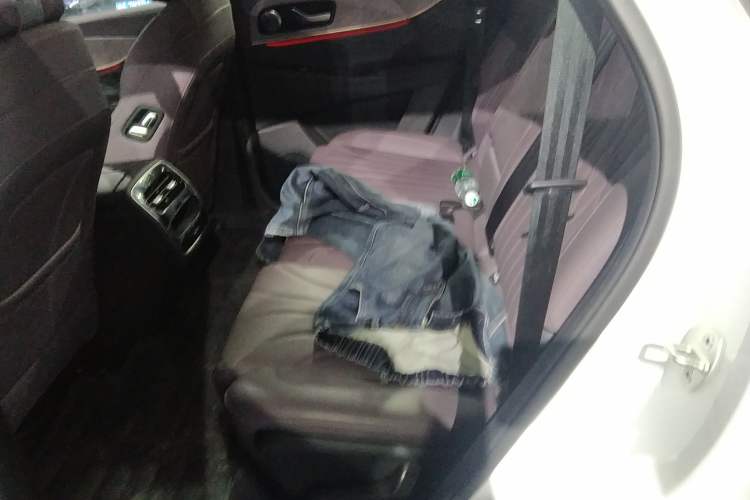 Used Chery Tiggo 9 2025 2.0T Automatic Two-Wheel Drive Luxury Edition 5 Seats Left Rear Seat