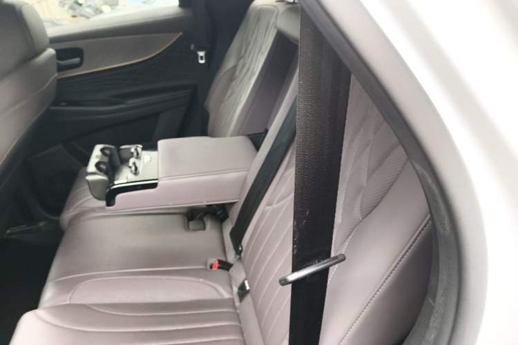 Used Chery Tiggo 9 2025 2.0T Automatic Two-Wheel Drive Luxury Edition 5 Seats Left Rear Seat