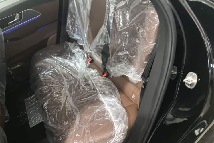 Used Chery Tiggo 9 2026 Model 9X 2.0T Automatic Two-Wheel Drive Luxury Edition Left Rear Seat