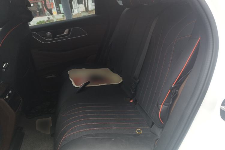 Used Chery Tiggo 9 2026 Model 9X 2.0T Automatic Two-Wheel Drive Prestige Edition Left Rear Seat